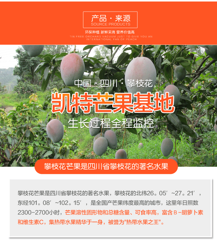\"凯特芒果_05\"