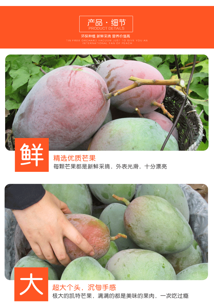 \"凯特芒果_09\"
