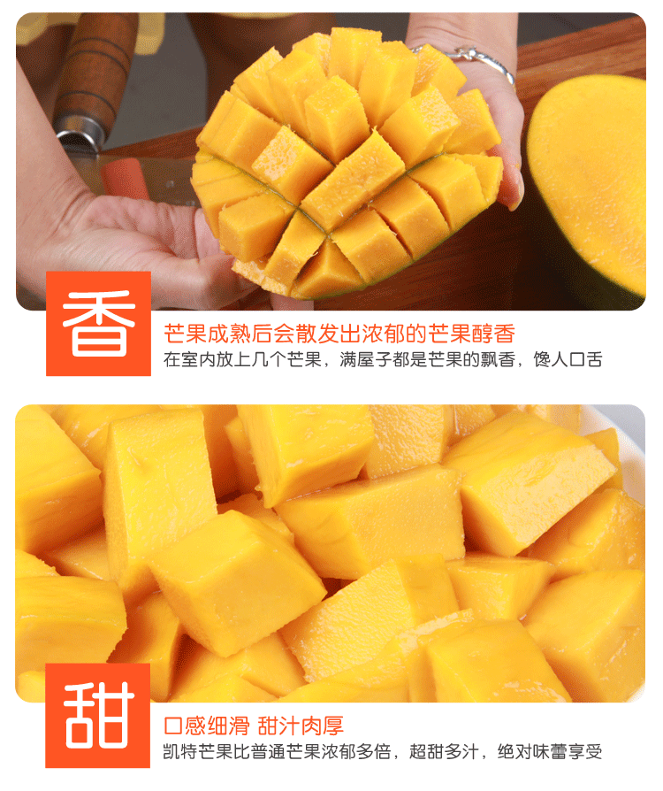 \"凯特芒果_10\"